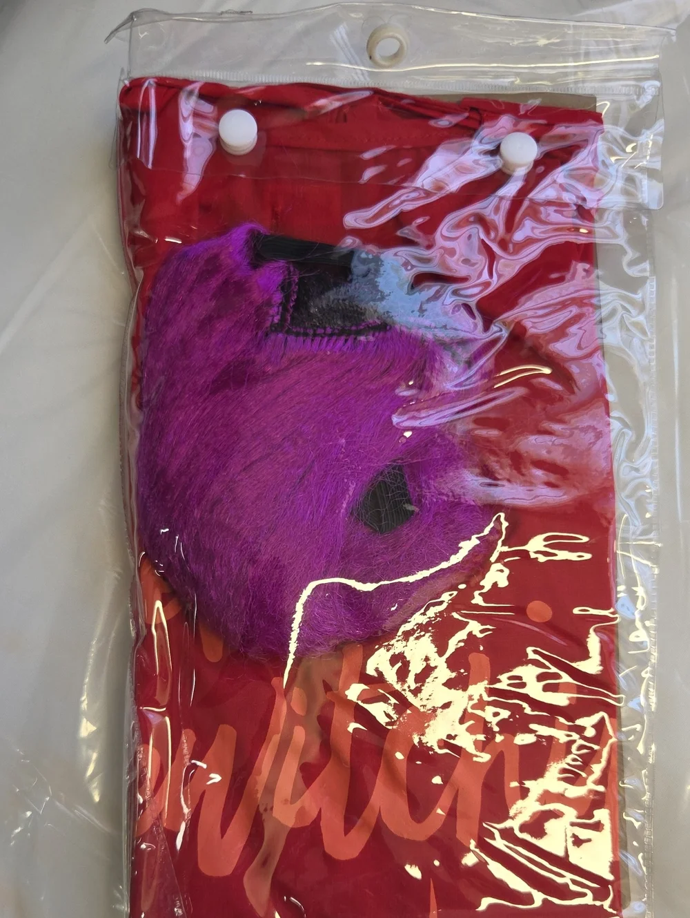 Disney Mary Sanderson Pet Costume - Red & Purple